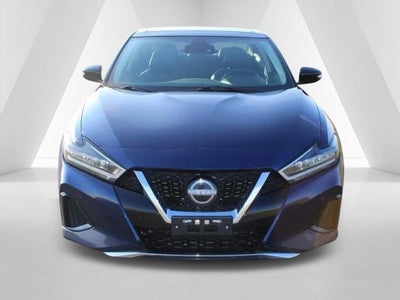 2023 Nissan Maxima SL